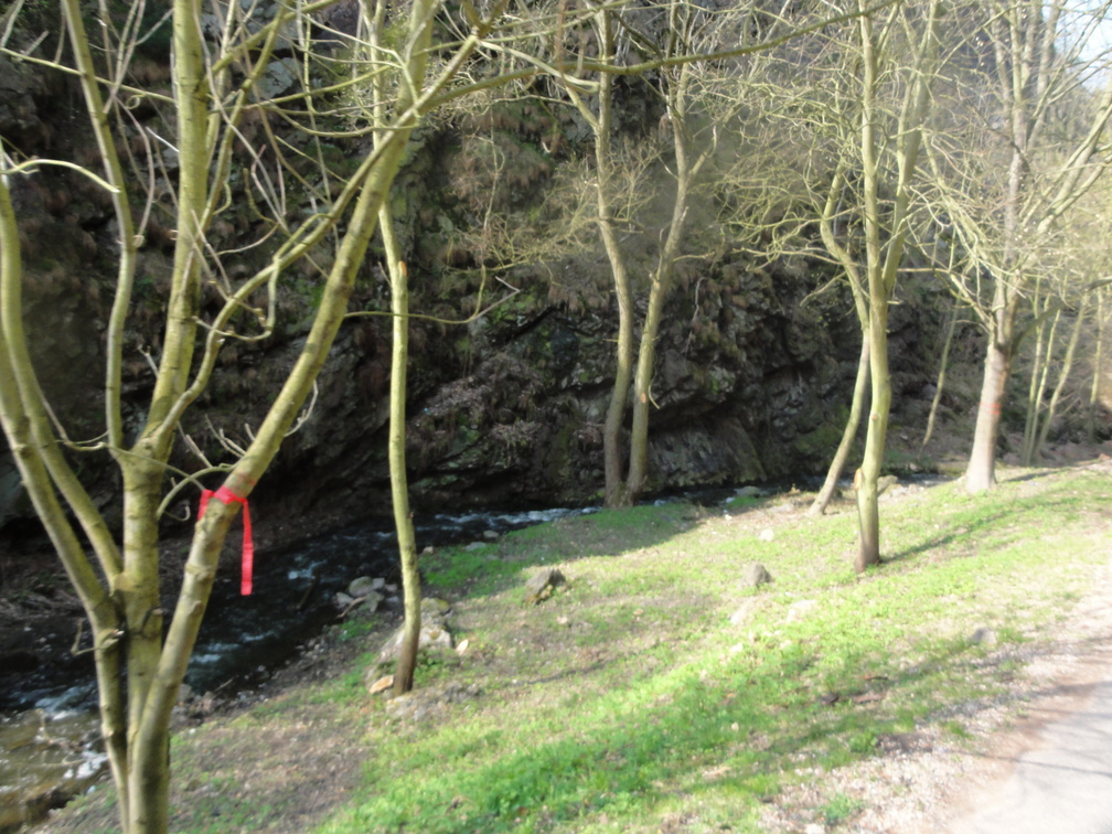 DSC02069